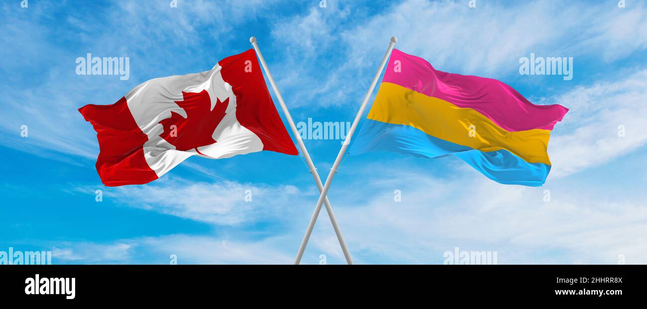 crossed national flags of Canada and Pansexuality Pride flag waving in ...