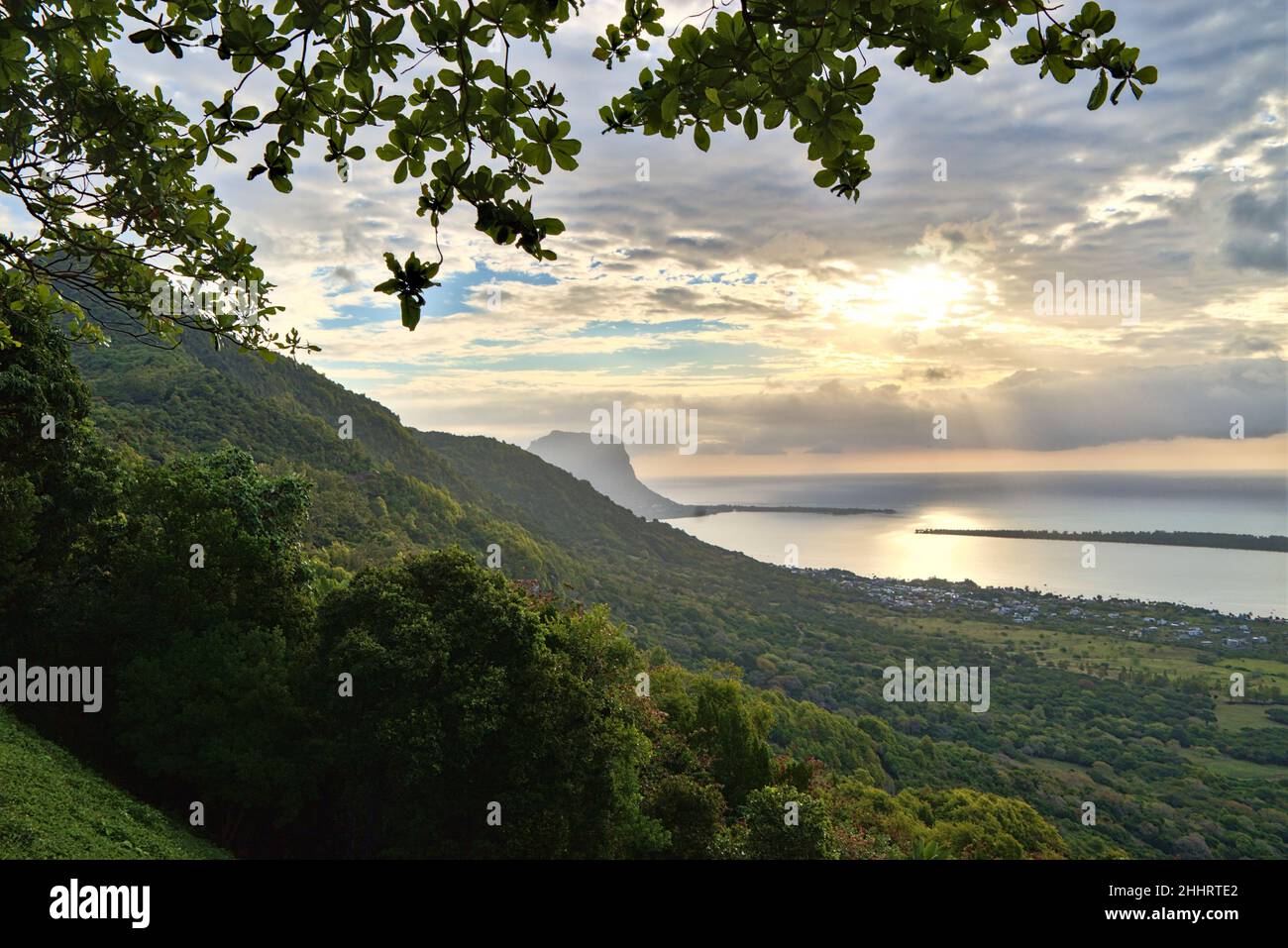 Tropical background landscape with trees and palms Stock Photo - Alamy