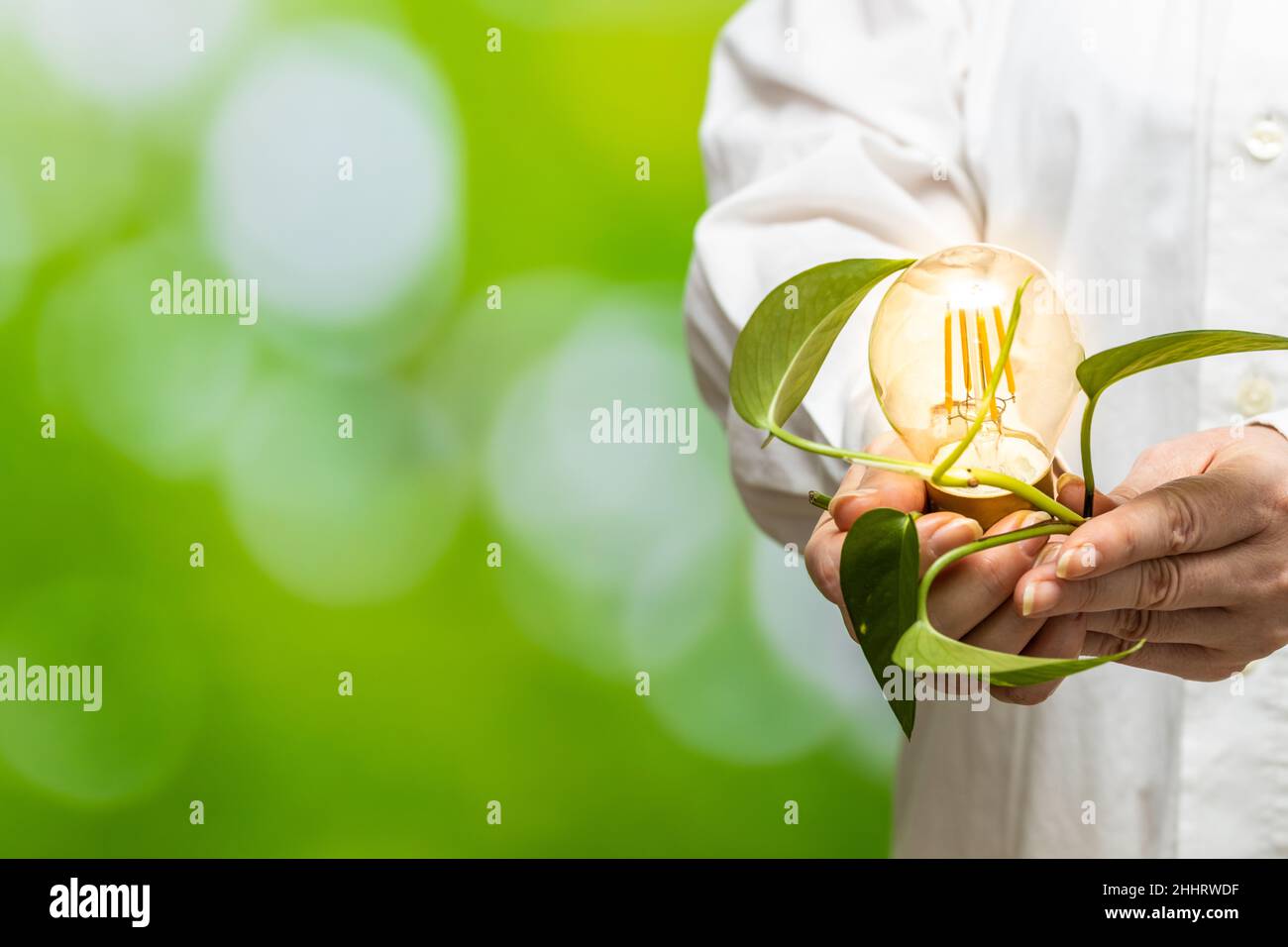 Environmental concept, natural sources of electricity, creative