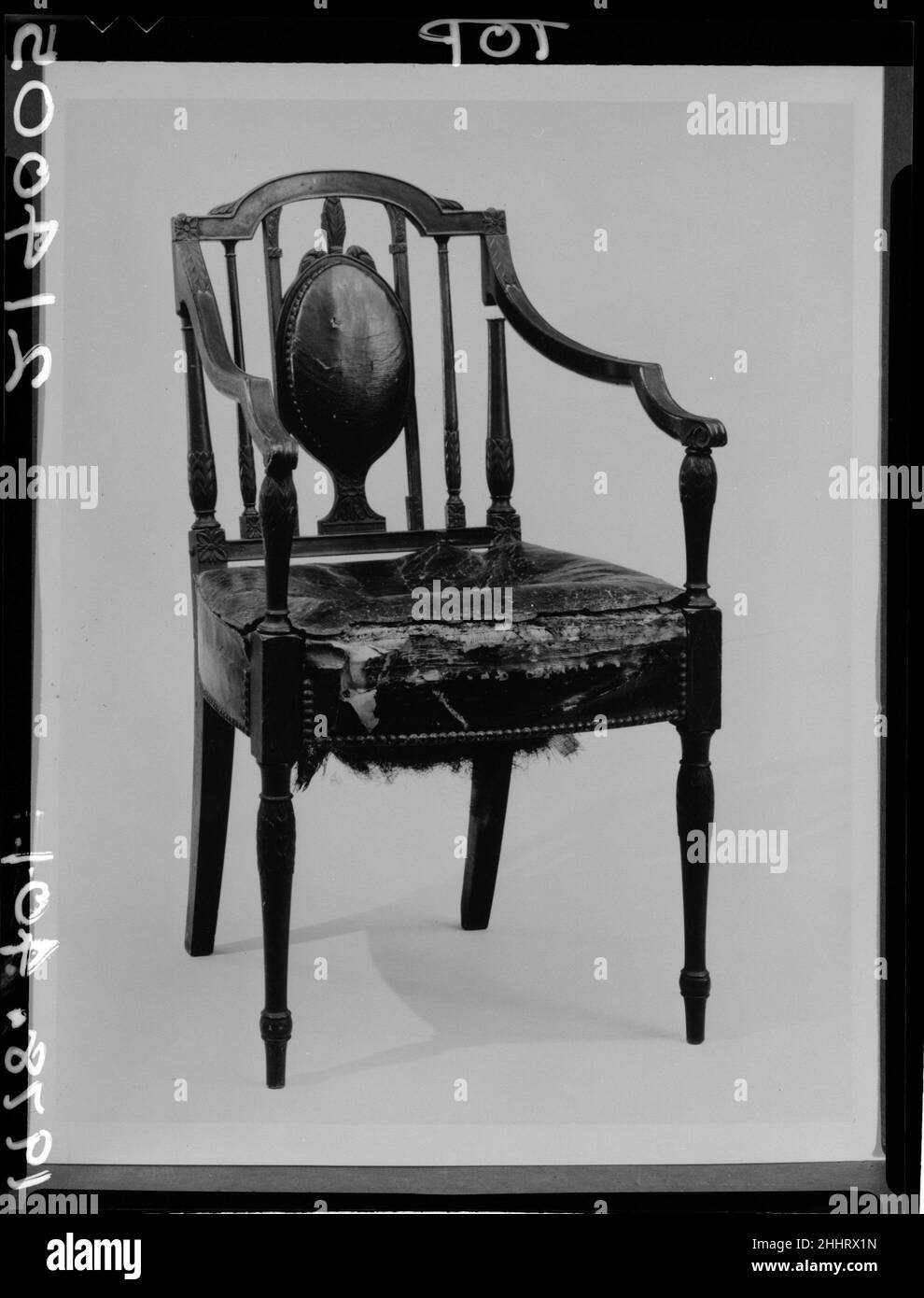 Back legs turned Black and White Stock Photos & Images Alamy