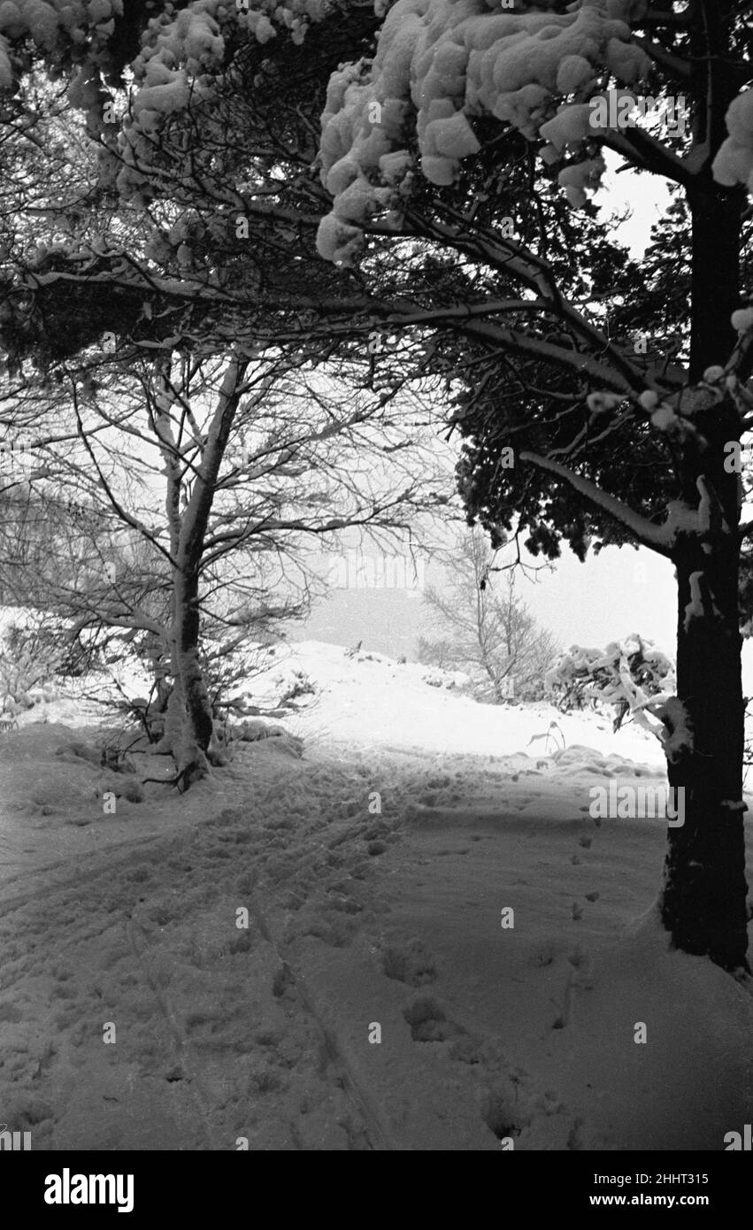 Snow Scenes at Oxshott during the winter of 1940 L104 Stock Photo