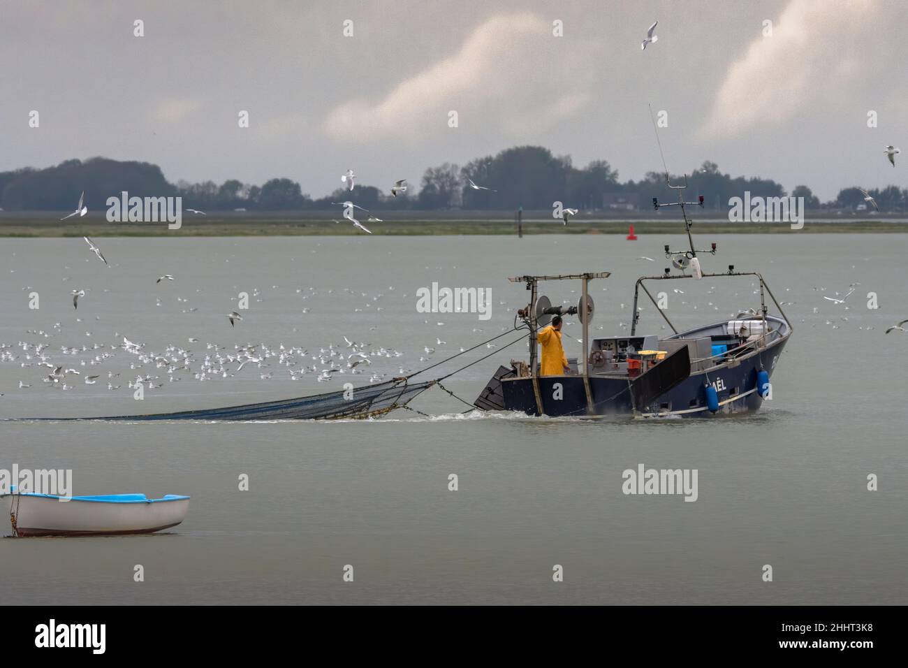 Un jeune pêcheur indien fumer dans un hawling lungi tirant dans son filet  de pêche de la plage, de l'Inde Photo Stock - Alamy