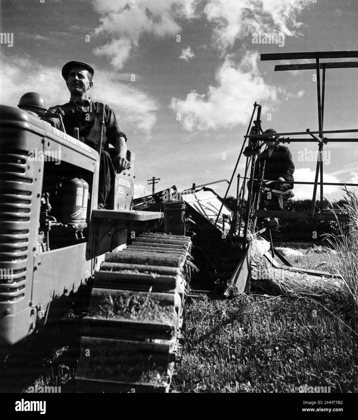 Harvesting near London. Mechanics is now part of the farm labourers job. Harvesting with a mechanical binder and tractor. Soon this will be superseded by the combined harvester as the binder and tractor superseded the horse and scythe. August 1945. Stock Photo