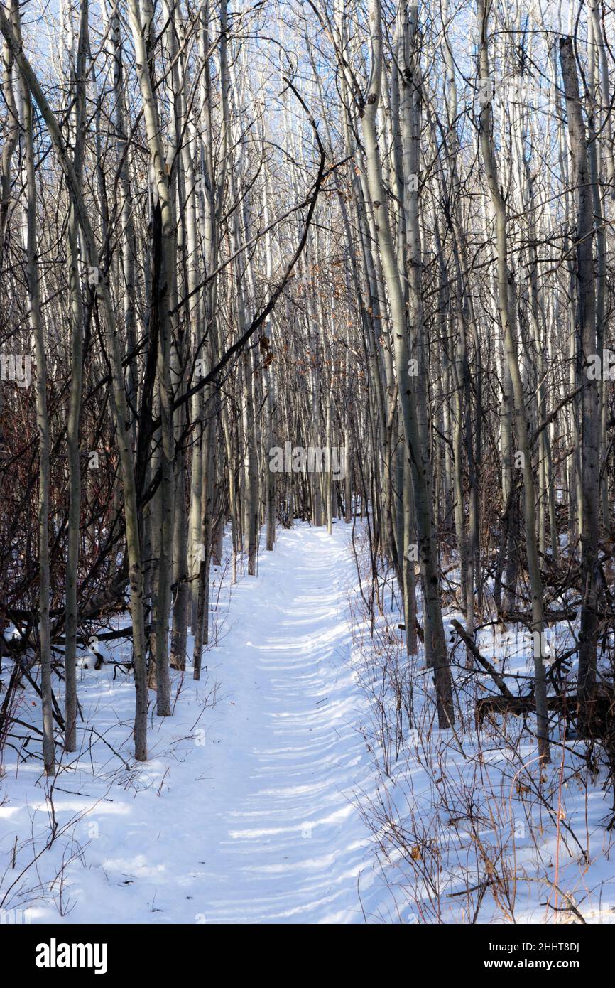 Urban park trail scenery Stock Photo - Alamy