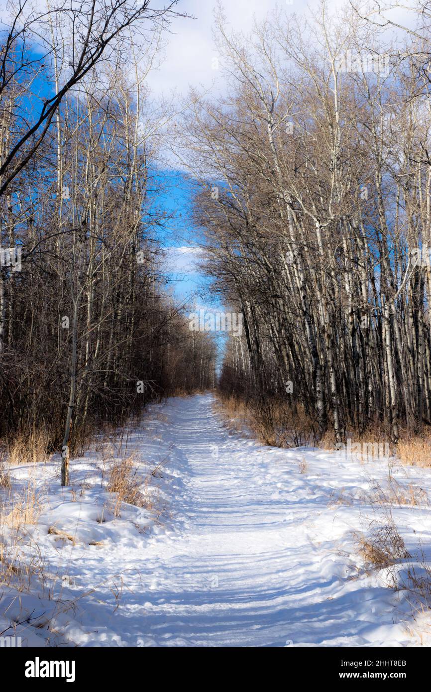 Urban park trail scenery Stock Photo - Alamy