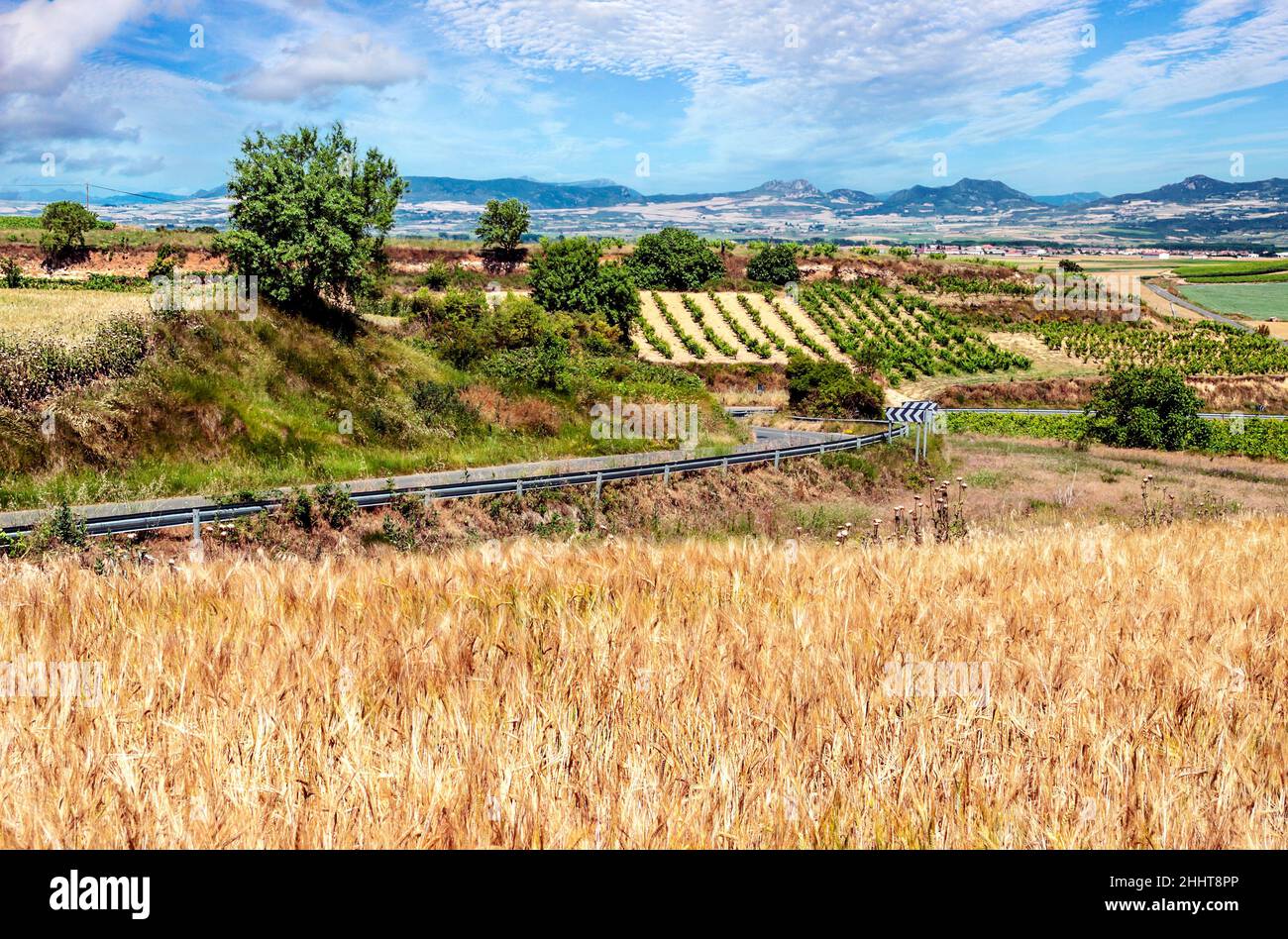 Fields grown in the Spanish province of Soria on a cloudy day Stock