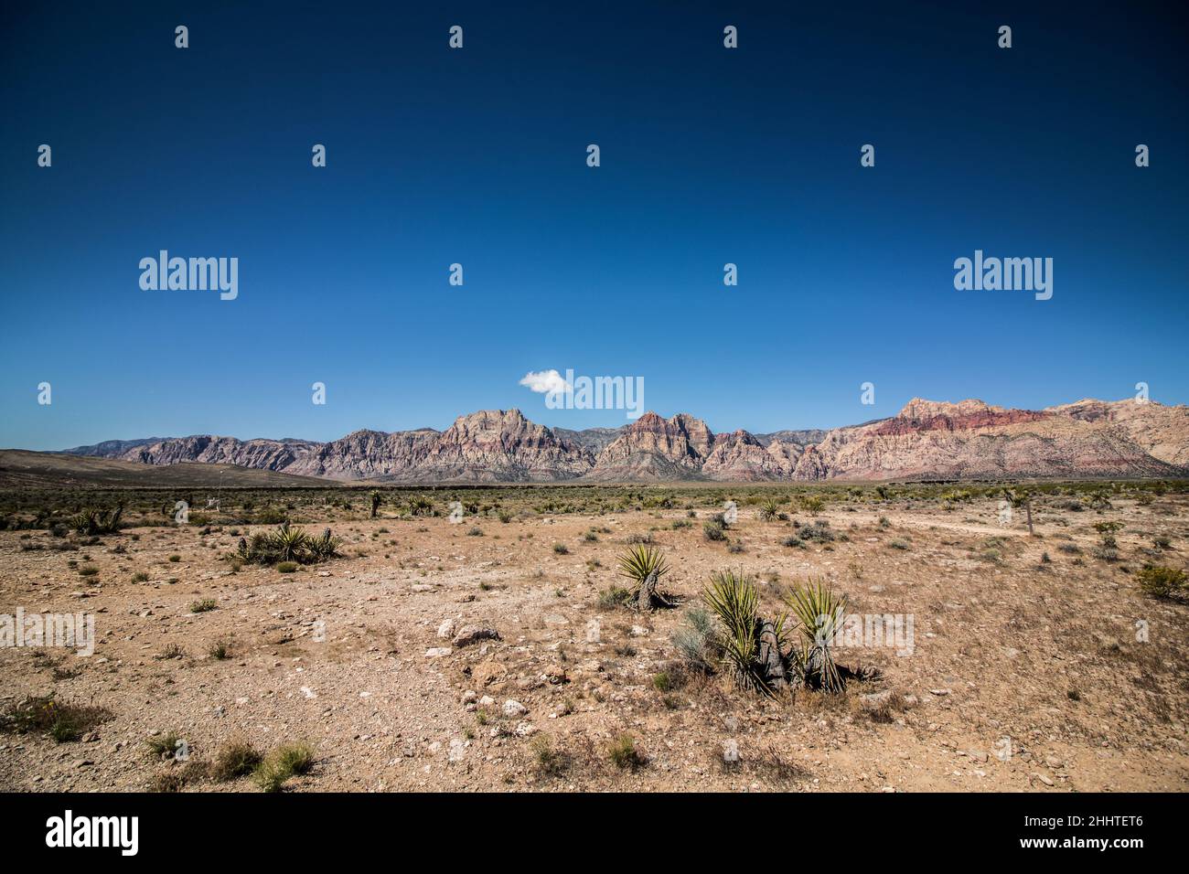 Desert in Las Vegas Stock Photo Alamy