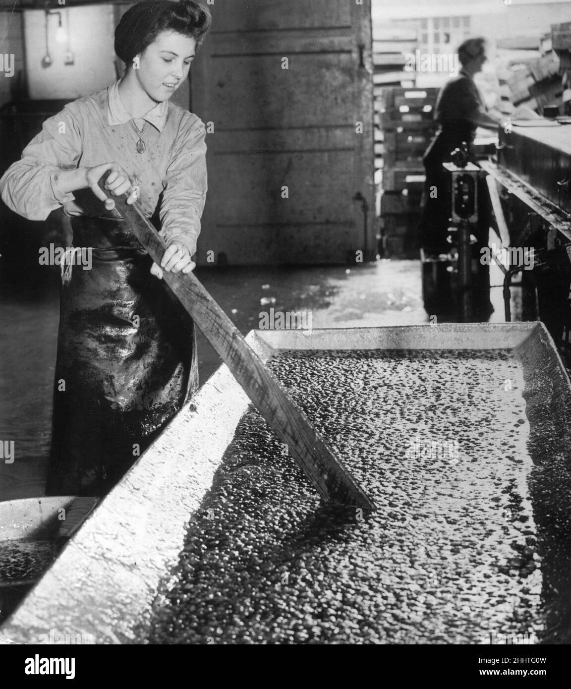 A female factory worker stirring strawberries to be made into jam at Wisbech Smedleys factory which will be sent on to the troops fighting all over the world during the Second World War.6th October 1943. Stock Photo