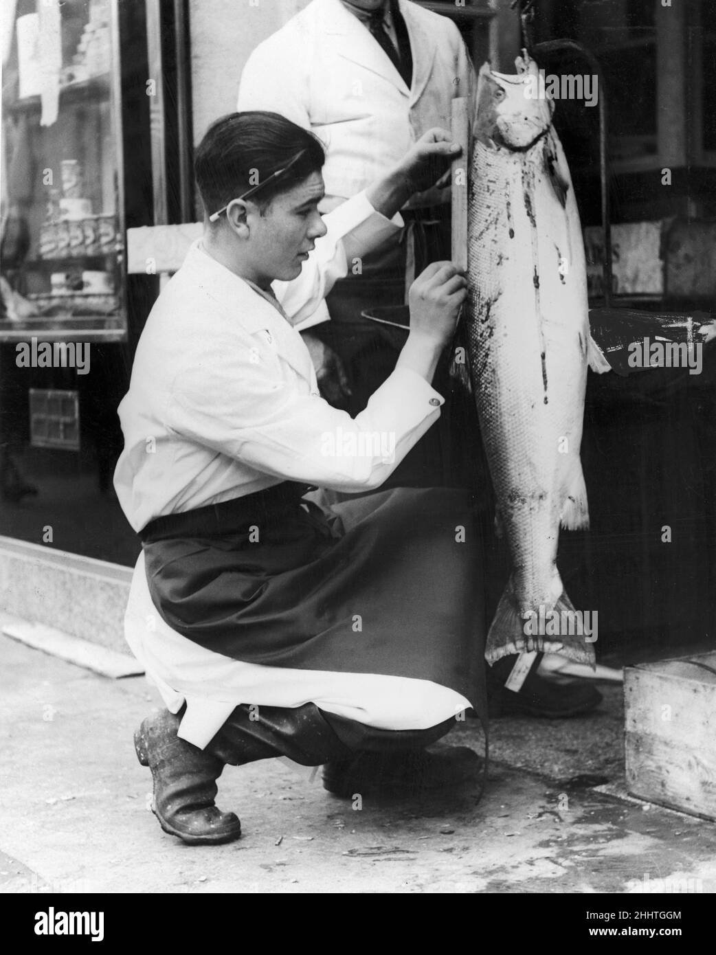 Caught off Southend this 27 pound Salmon is being weighed and measured in a West End Fishmongers. The fish was a record catch for Southend. 2nd May 1937 Stock Photo