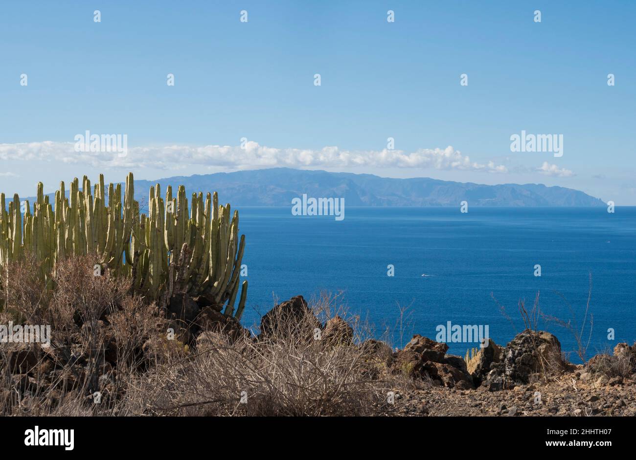 Volcanic outcrop near Archipenque, Los Gigantes, Tenerife. View over Puerto Santiago to La Gomera, with cacti. Stock Photo