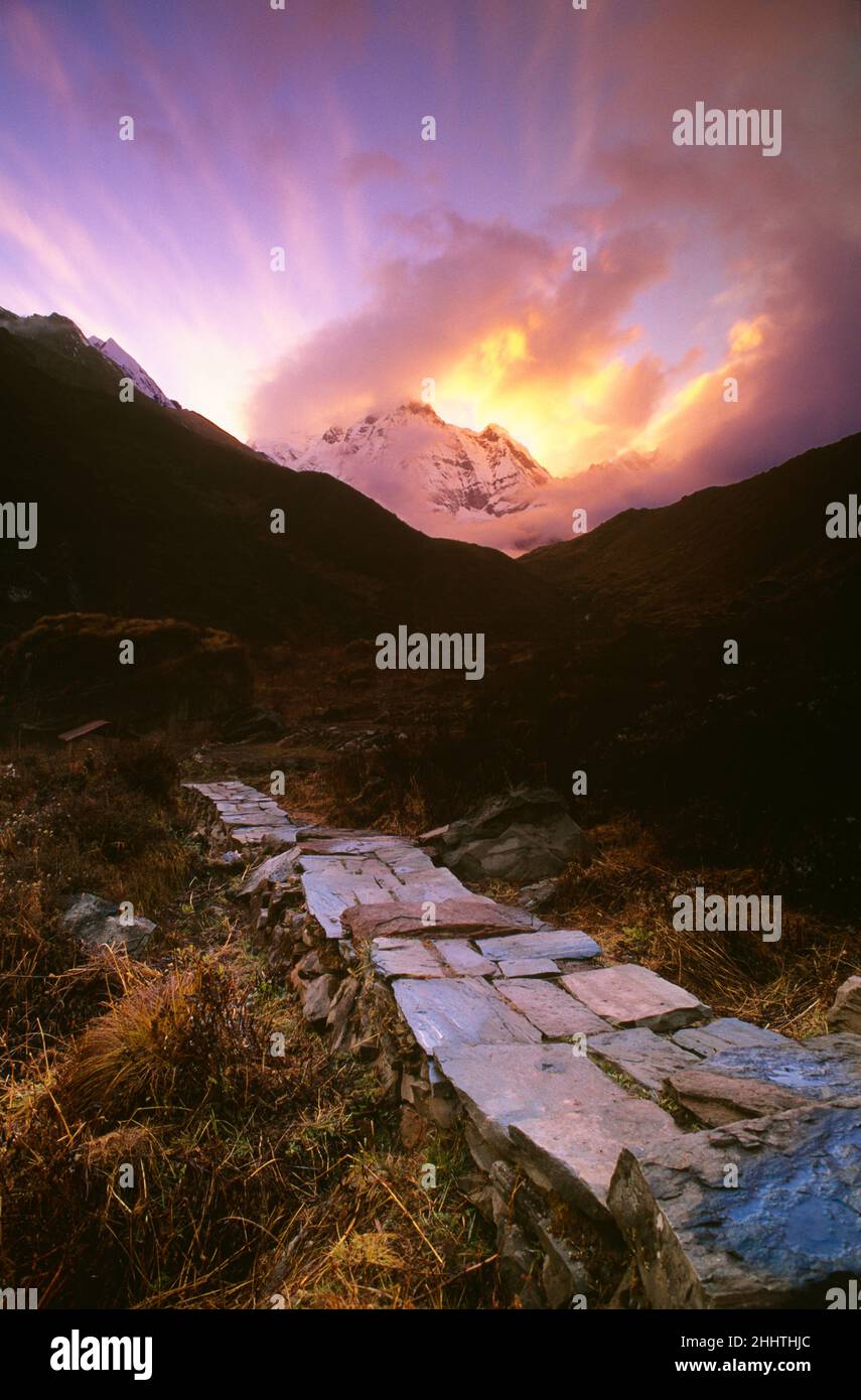 Stone Path, Machhapuchhre Base Camp, Annapurna Mountain Range, Nepal Stock Photo