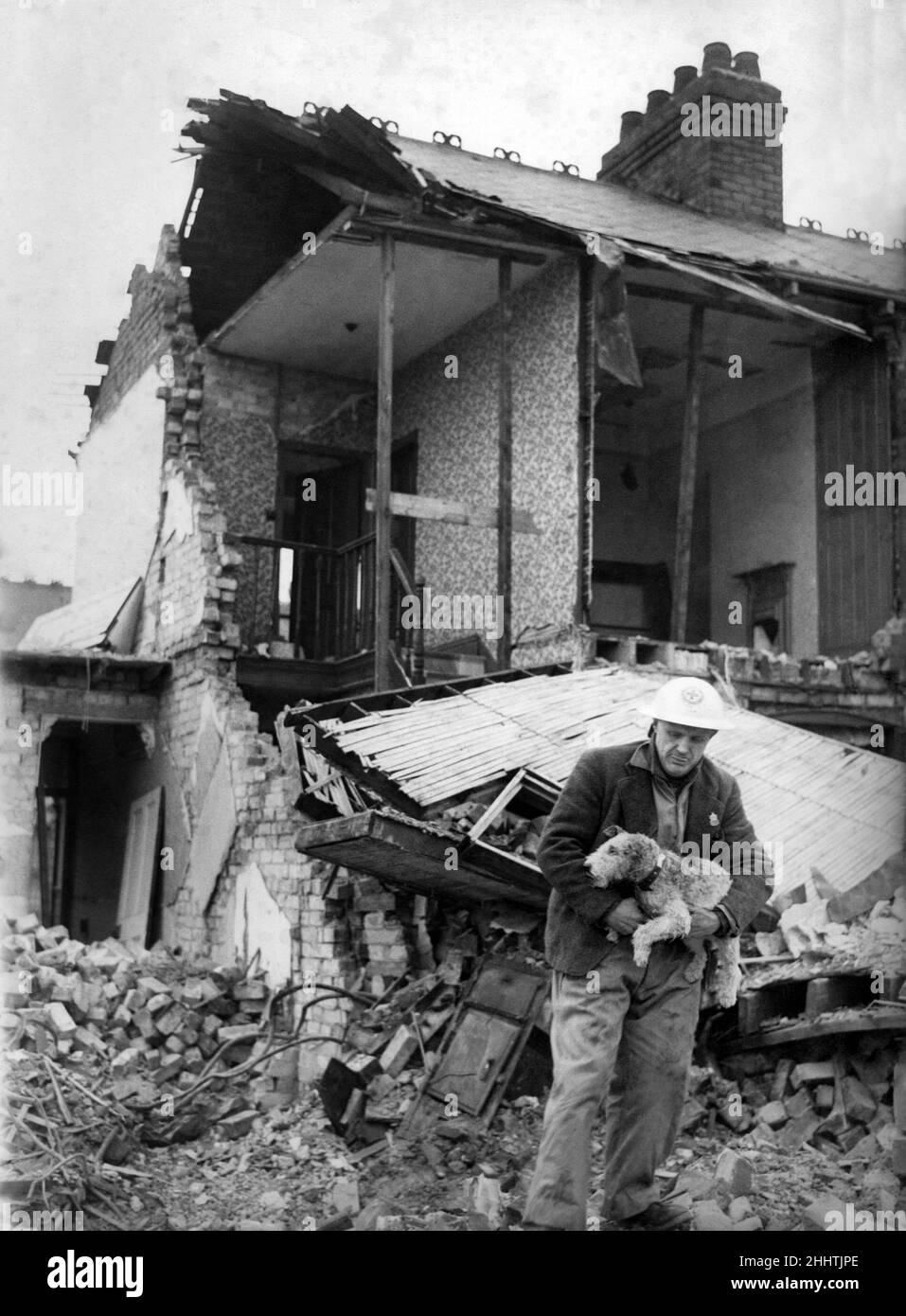Mr. Sydney Colman tends to an injured wire haired terrier after air raid on north east town (31st March 31). Pictured 4th April 1941.  *** Local Caption *** P002200 Stock Photo