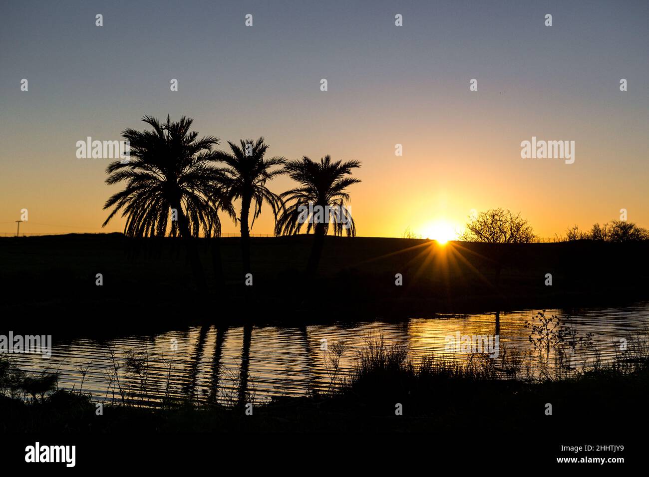 The sun is setting behind palm trees on the riverside in front of a green field Stock Photo
