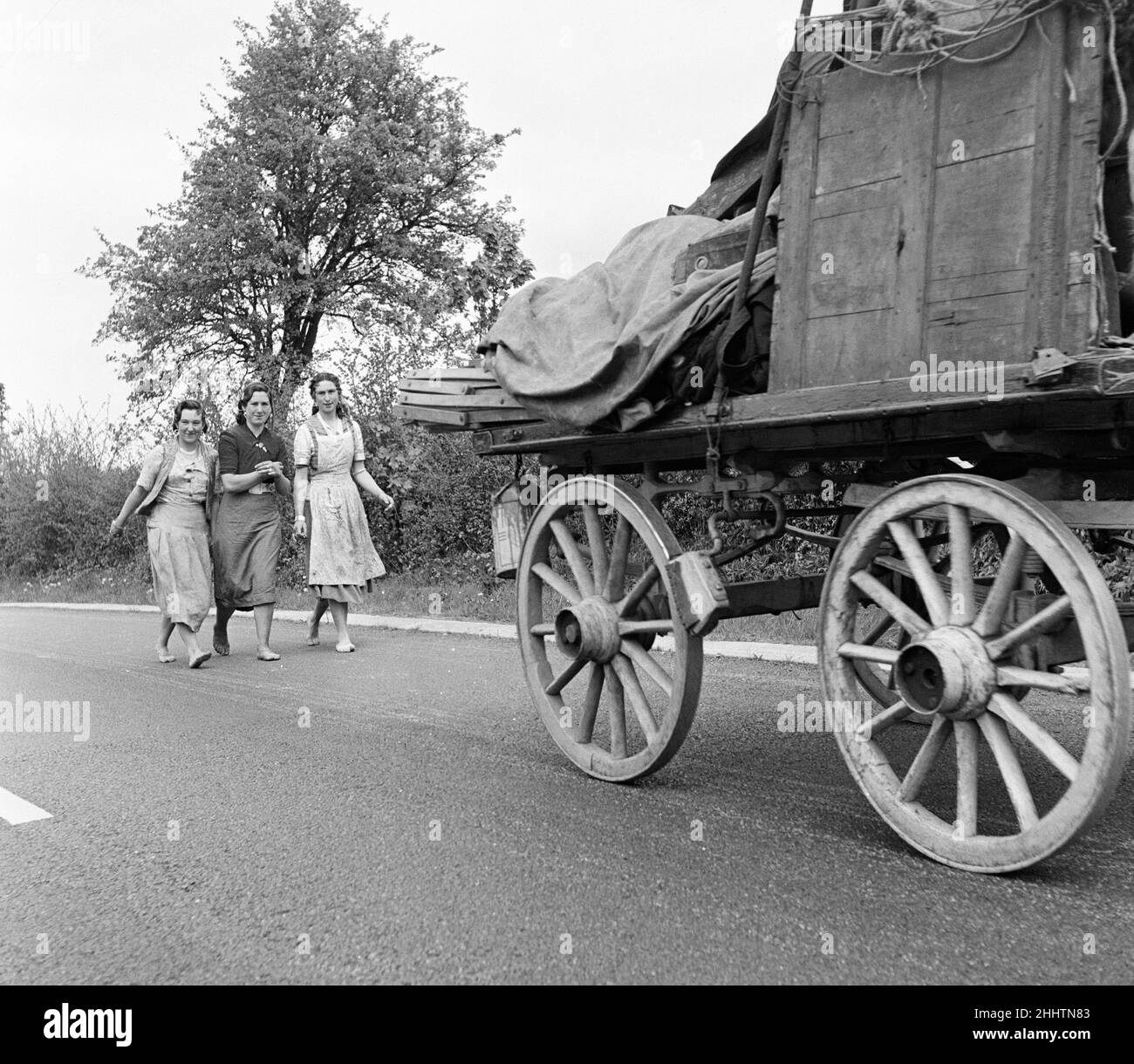 Romany gypsies caught by the candid camera on the Usk, Newport Road. They walk up to 25 miles a day barefooted across all types of roads. This road is covered with a hard gravel but the girls don't even feel a tickle as they walk, sometimes backwards, towards their goal - Cardiff, where they will meet their boyfriends and put on shoes just to go dancing. 8th May 1954. Stock Photo