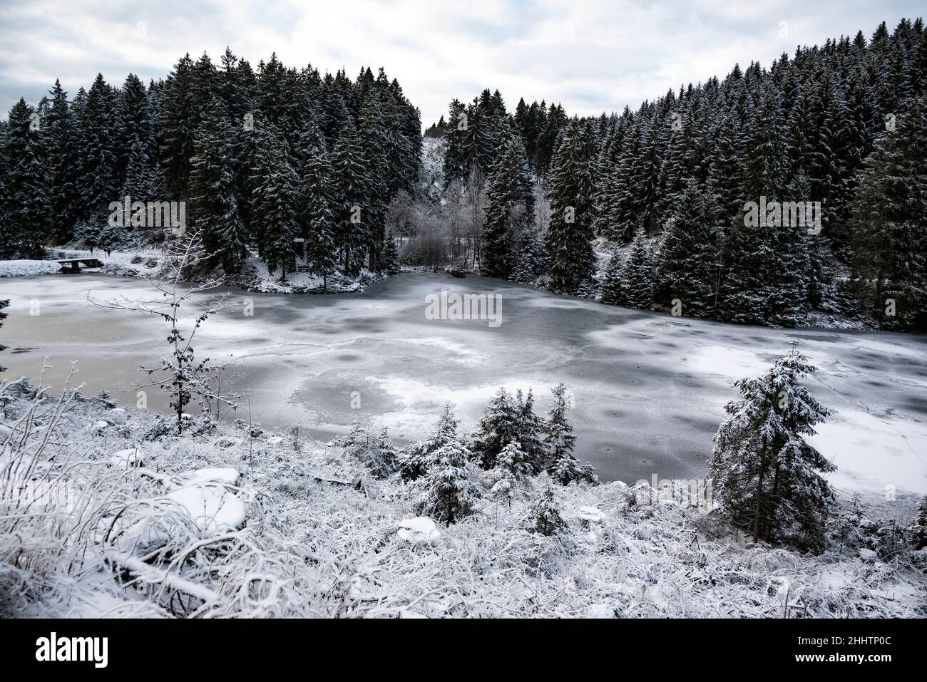 Frozen “Unterer Grumbacher Teich” lake in a white forest landscape near