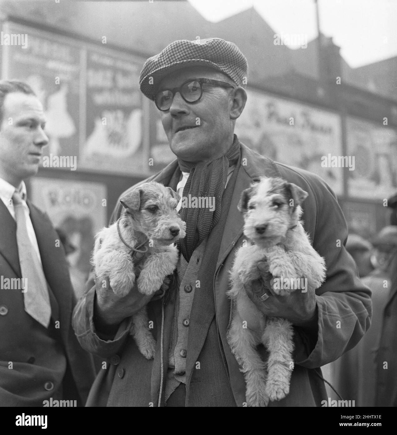 Puppies for sale at a stall in the flea market at Club Row, Bethnal