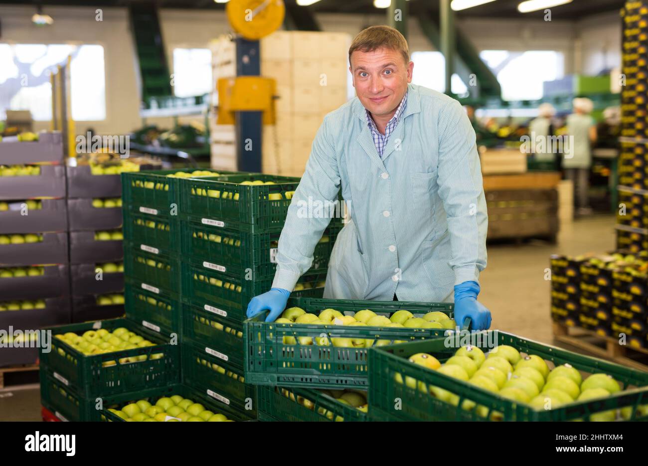 Man arranges boxes with apples at factory Stock Photo