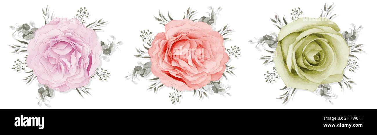 Set of rose bouquet watercolor isolated on white background Stock ...