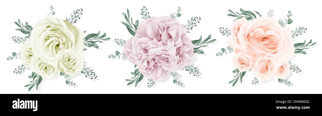 Set of rose bouquet watercolor isolated on white background Stock ...