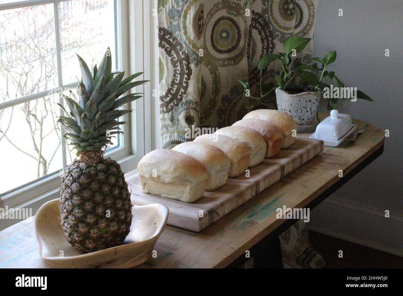 Home Made sourdough bread mini loaves Stock Photo Alamy