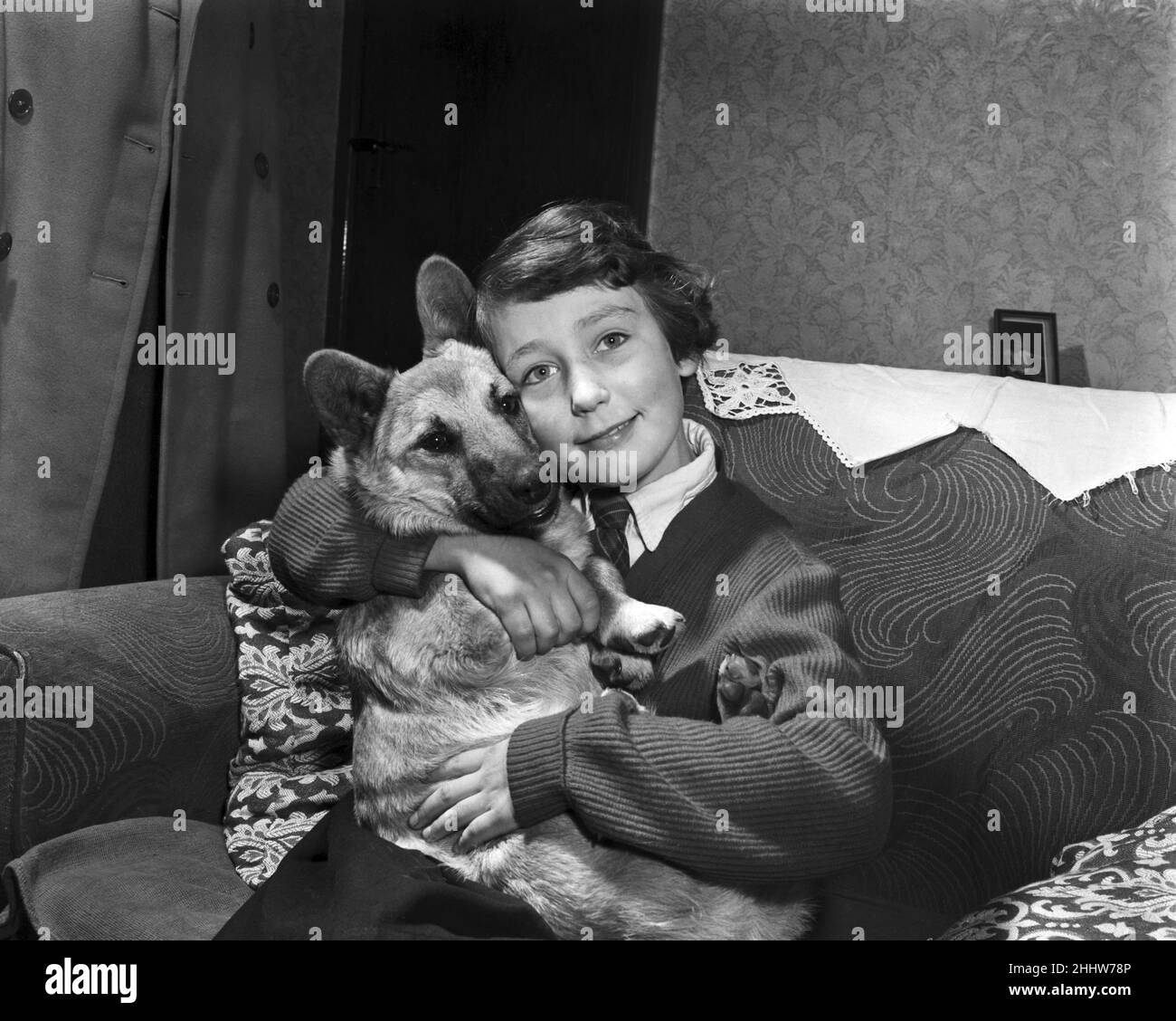 Elaine Cave, aged 9, with Mickey her pet Corgi, at home in Coalville, Leicestershire. Elaine has been absent from school for nine days since her pet Corgi ran away. For three days she walked the streets looking for him, then she became ill and was in bed for a week. Mickey was then brought home by a man who found him wandering two miles away. Within an hour Elaine was up. 25th March 1955. Stock Photo