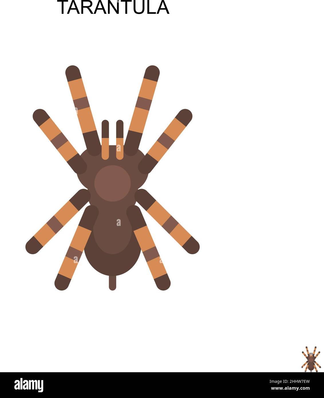 Hairy brown pet tarantula spider Stock Vector Images - Alamy