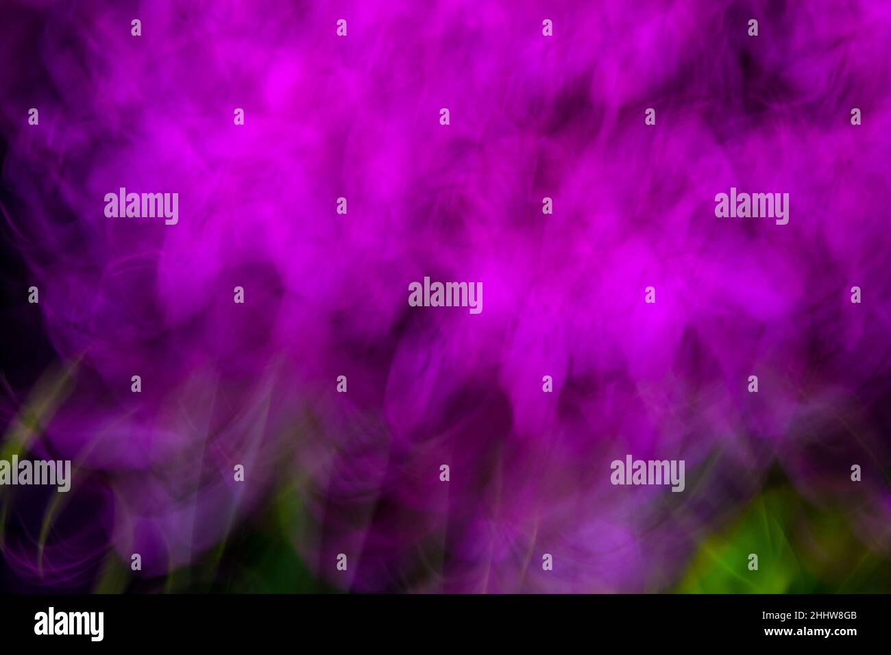 Purple flowers are blurred and warped in an abstract pattern Stock Photo