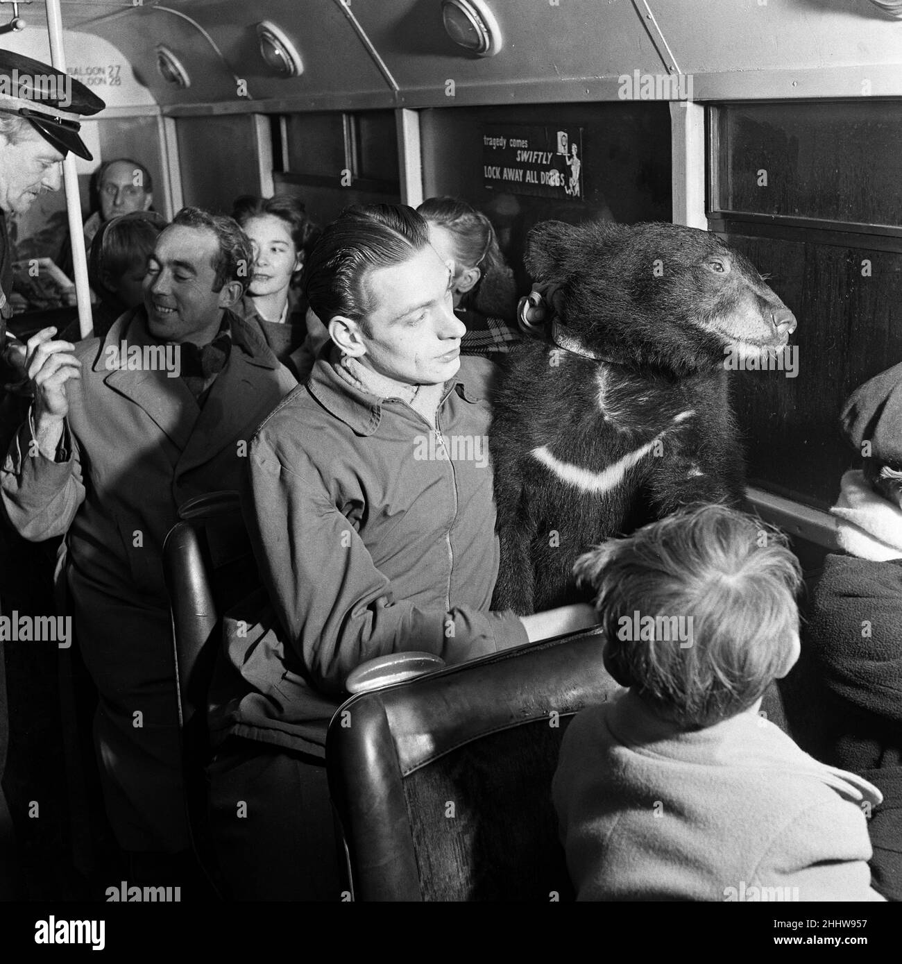 Animals are not allowed inside the bus but this bus is different for the animal inside the bus is star passenger Teddy, an 18-month-old Himalayan bear, a favourite of Smart's Winkfield Zoo in Berkshire. The bus is running a 'Zoo Special' that runs from Windsor to the Zoo. 31st December 1953. Stock Photo