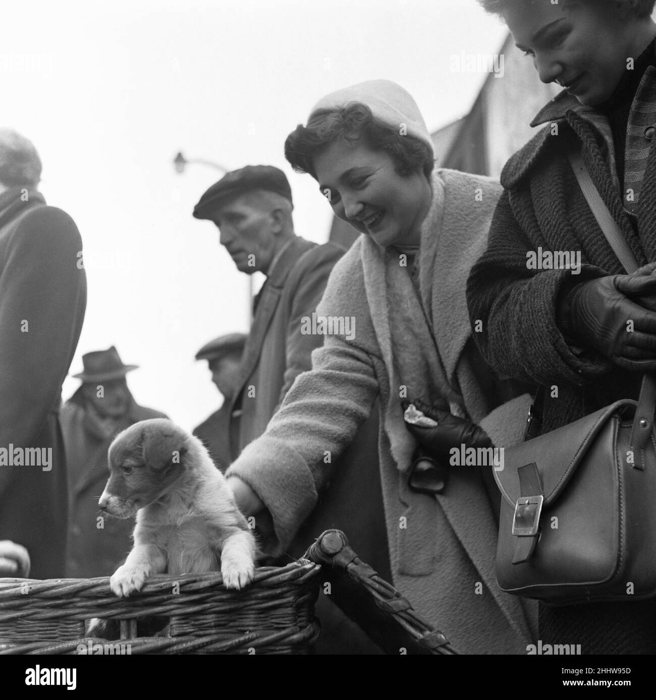 Puppies for sale at a stall in the flea market at Club Row, Bethnal