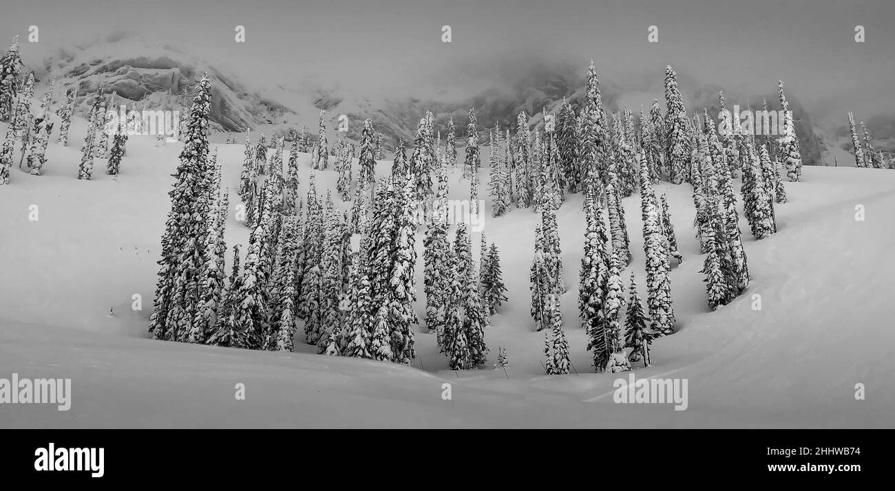 Canada resort snow and skiing rocky mountains Black and White Stock ...