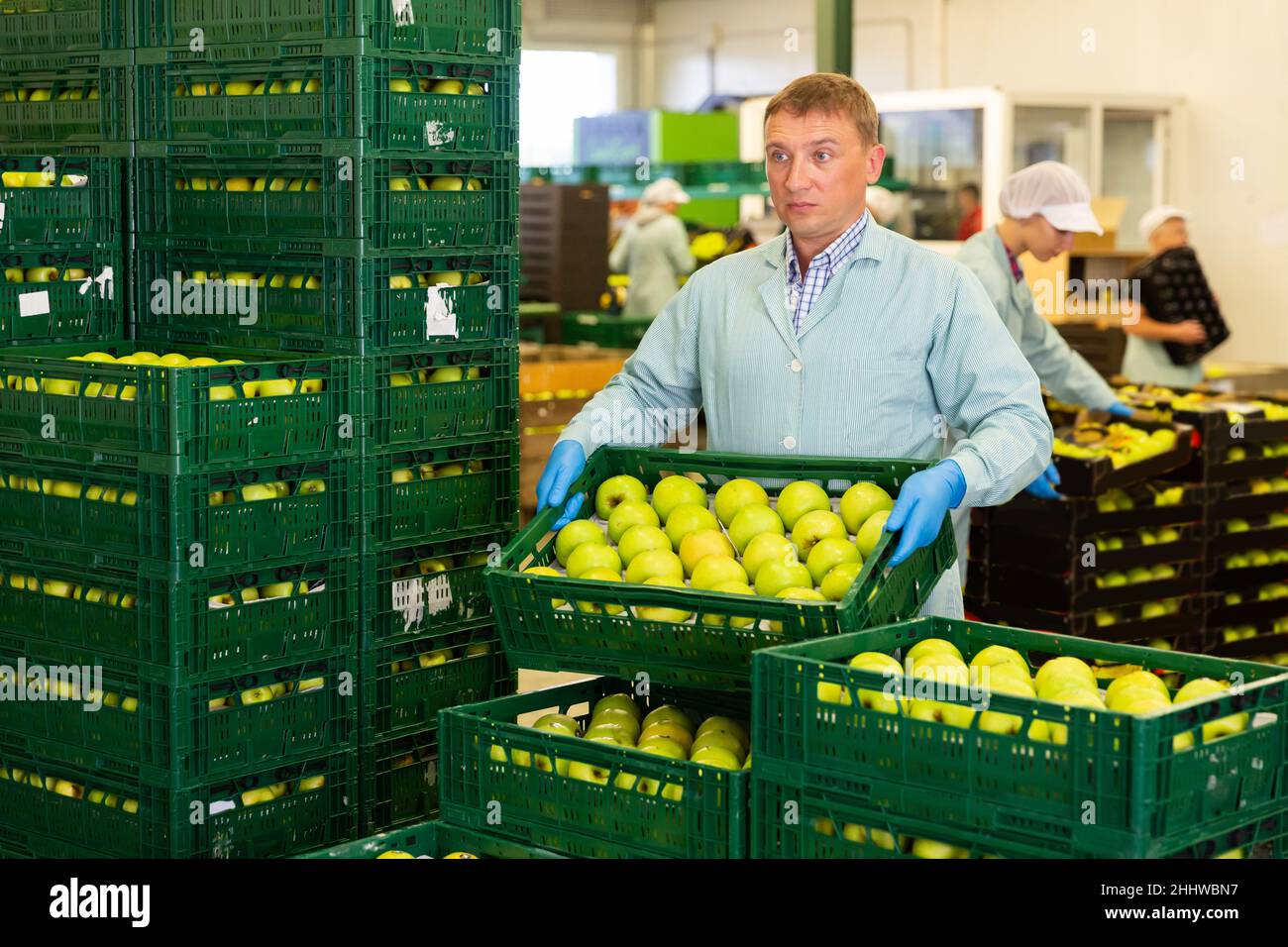 Man arranges boxes with apples at factory Stock Photo