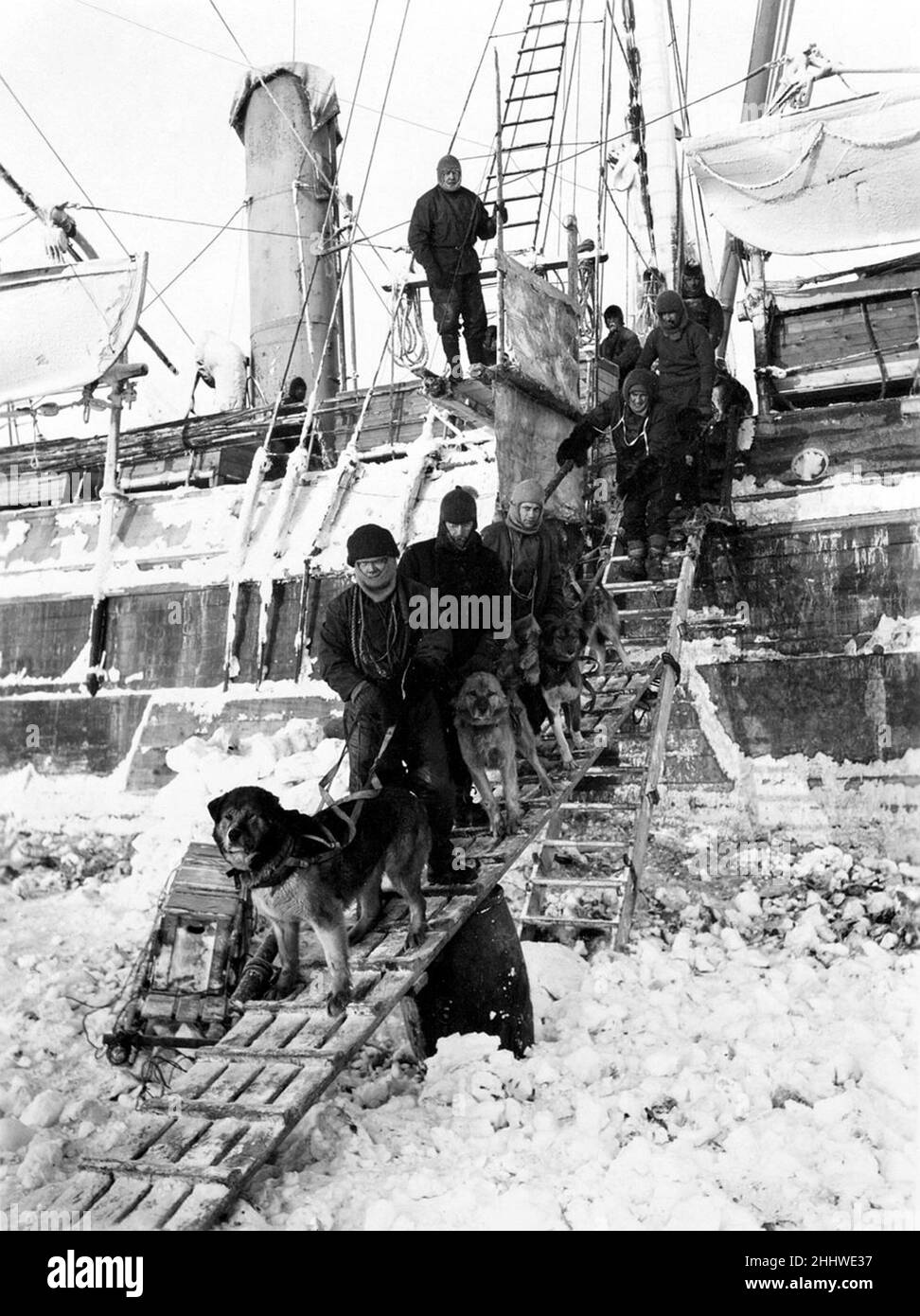 Ernest Shackleton's epic 1914-1917 antarctic expedition, in which their ship Endurance was crushed by ice. The crew are seen with their dogs Stock Photo