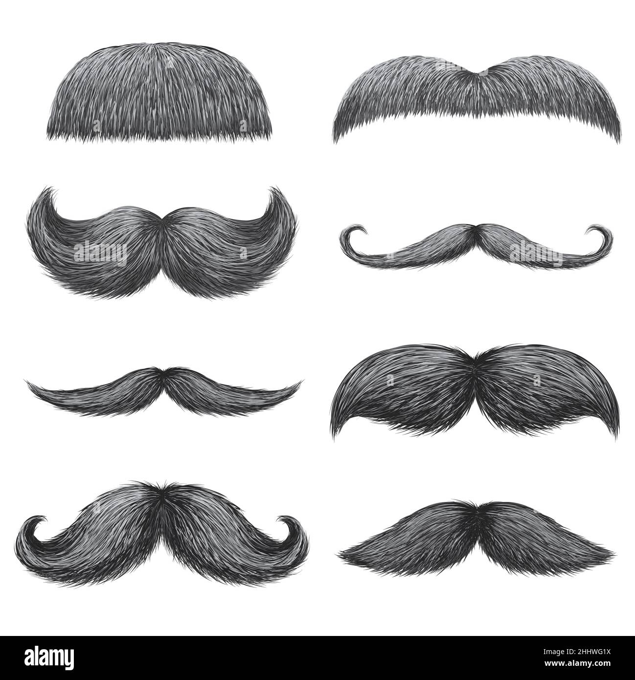 Handlebar Mustache Drawing