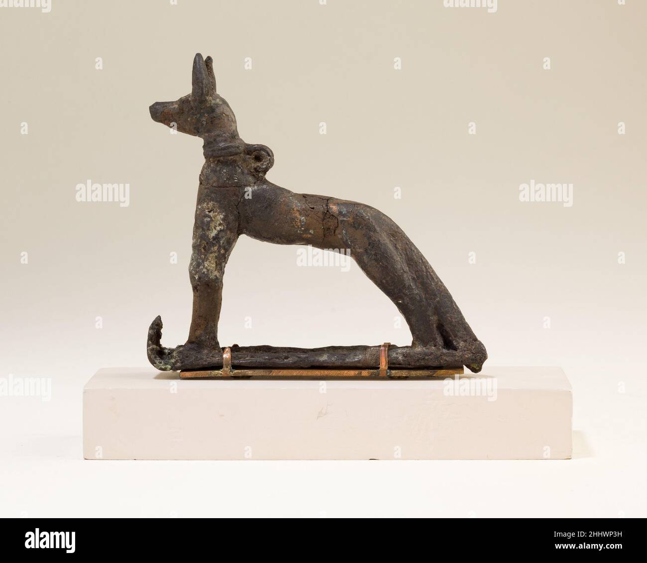 Jackal 664–30 B.C. Late Period–Ptolemaic Period The canine deity Wepwawet stands on the upper portion of a sledge with cobras at his feet. He is attentive and alert with his ears pricked up. The sledge was probably the upper part of a standard, as most Wepwawet representations in copper alloy are standards (like 86.1.70). It seems unlikely that this figure was an actual standard, as it would have been too small to be easily visible. Instead it may have been a standalone offering or been used in another as yet unknown setting. A suspension loop at the back of the neck, set behind Wepwawet’s col Stock Photo