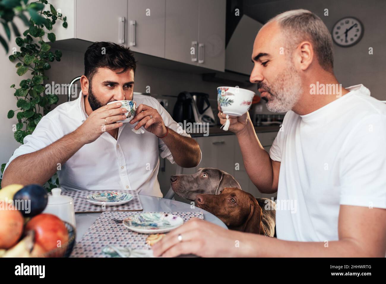 Gay couple enjoys drinking a cup of coffee in the kitchen at home with their dogs. Stock Photo