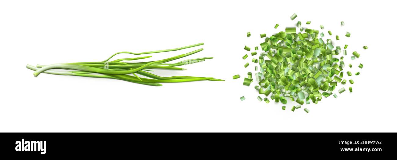 Onion leaves and chopped green chive isolated on white background. Vector realistic set of 3d fresh verdure bunch and pile of cut pieces of green garlic or scallion Stock Vector