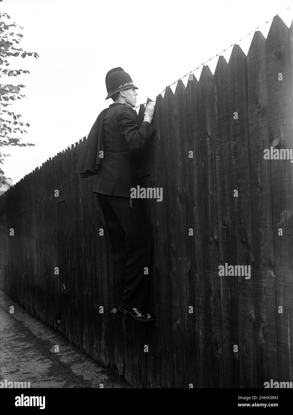 England V Australia 1954 4th Test Match Headingley Leeds. A policeman tasked with patrolling outside the Yorkshire Cricket Club in Headingley takes a quick peek over the fence to see how England are fairing in the fourth test against Australia. 23rd July 1954 Stock Photo