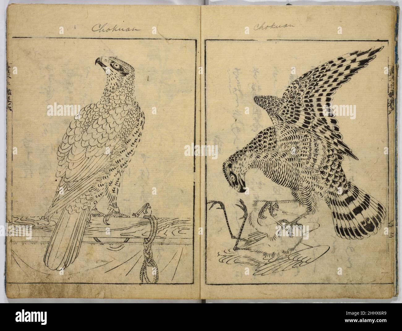 Book of Famous Japanese and Chinese Paintings 1720 Ooka Shunboku