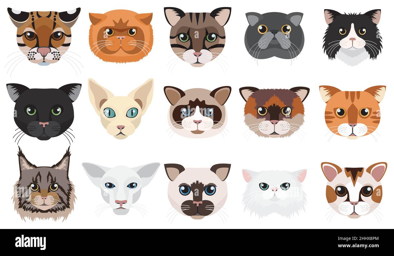 Emojis cat vector set. Cute cats face emoticons and icon in hungry and  crying emotion for signs and symbols isolated in white background. Vector  illustration 3d realistic. Stock Vector