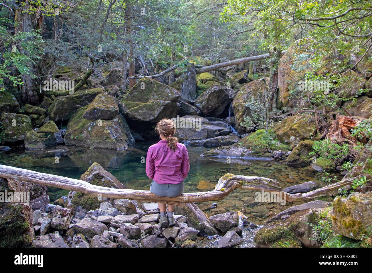 Woman sitting on a branch beside Mother Cummings Rivulet Stock Photo
