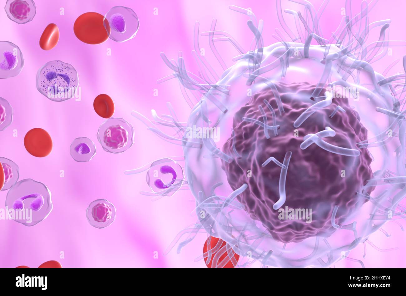 Hairy Cell Leukemia (HCL, HZL) cells in blood flow - closeup view 3d illustration Stock Photo