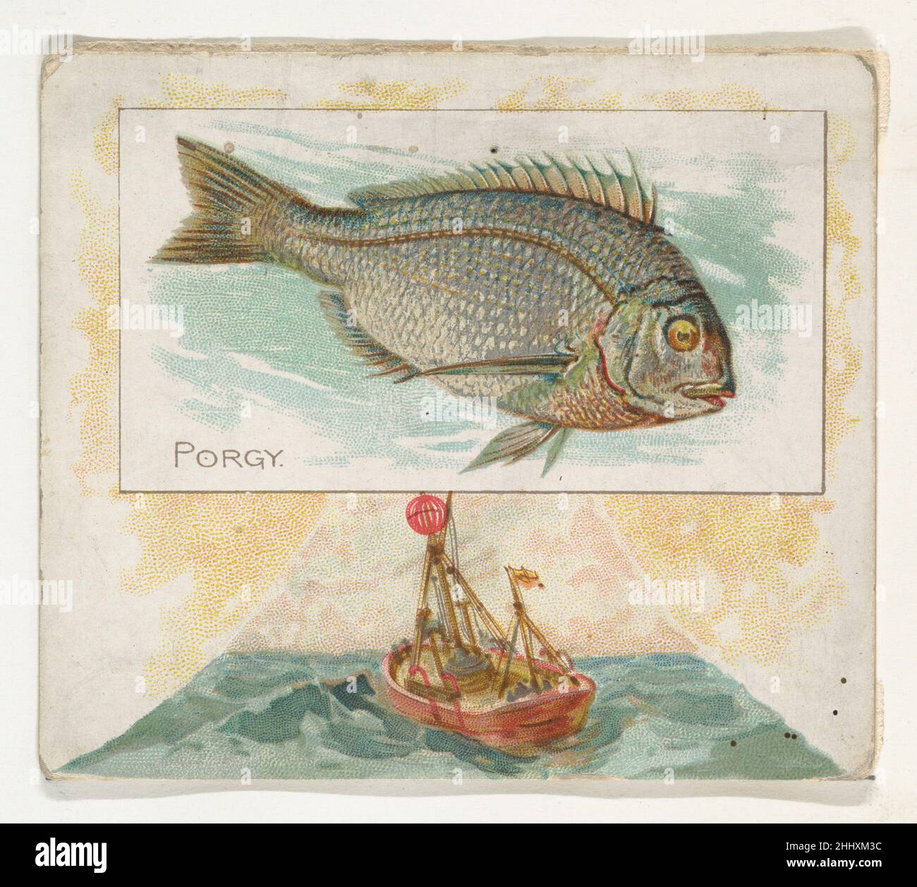 Porgy, from Fish from American Waters series (N39) for Allen & Ginter Cigarettes 1889 Issued by Allen & Ginter American Trade cards from the 'Fish from American Waters' series (N39), issued in 1889 in a set of 50 cards to promote Allen & Ginter brand cigarettes.. Porgy, from Fish from American Waters series (N39) for Allen & Ginter Cigarettes  420168 Stock Photo