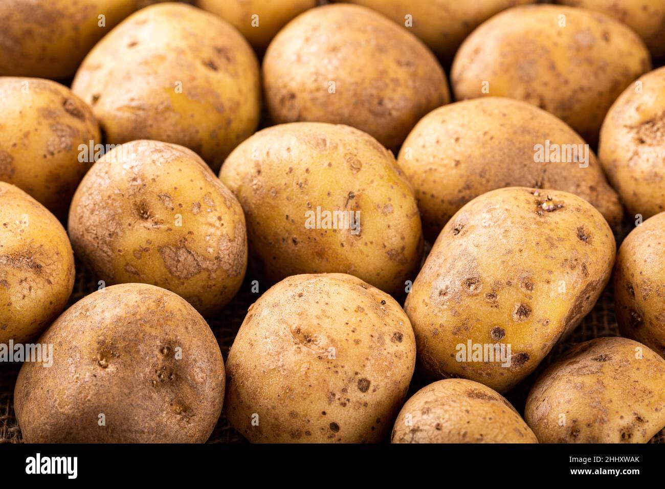 Raw whole washed organic potatoes Stock Photo