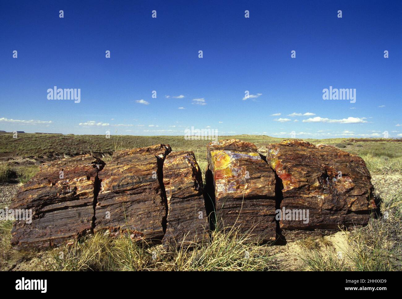 usa arizona petrified forest Natl park Stock Photo