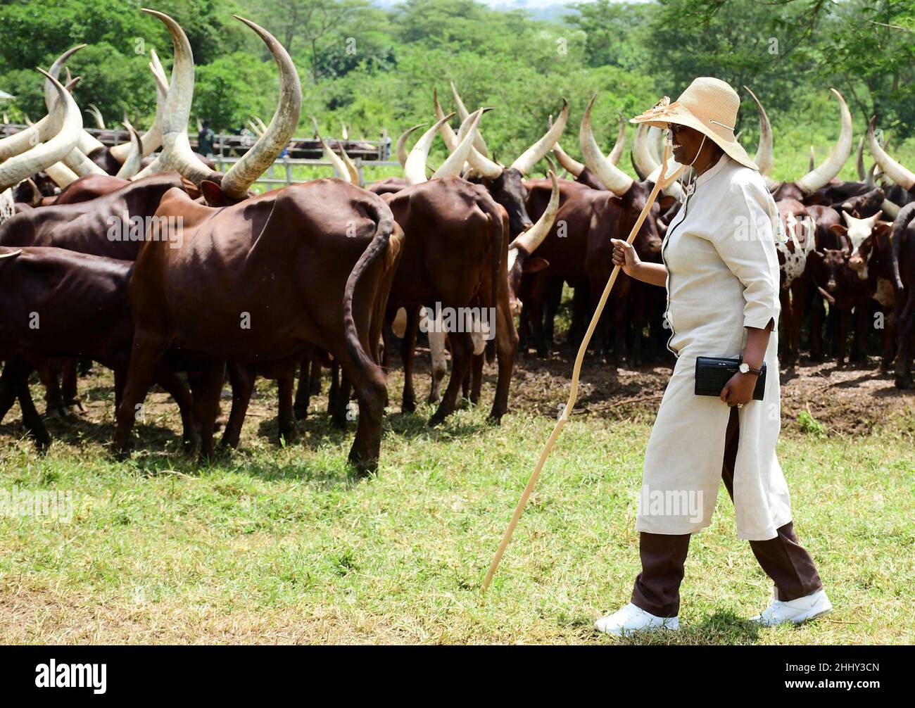 Uganda's first lady Janet Museveni walks past their Acholi herd at their farm in Kisozi settlement of Gomba district, in the Central Region of Uganda, January 16, 2022. Picture taken January 16, 2022. REUTERS/Abubaker Lubowa Stock Photo