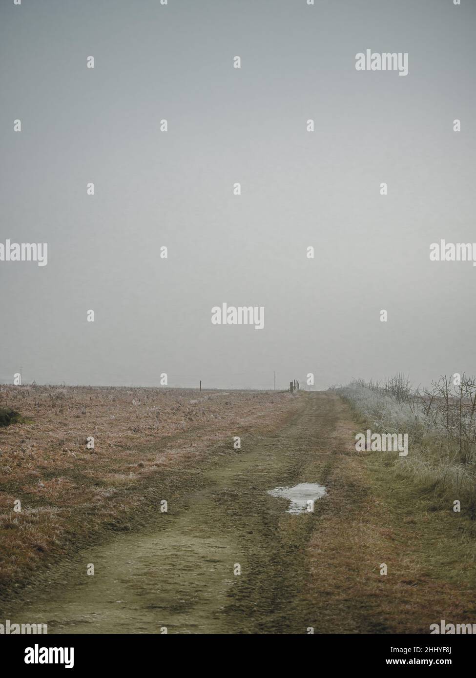 Frosted Farm and agricultural buildings in a field on a cold and frosty winter morning Stock