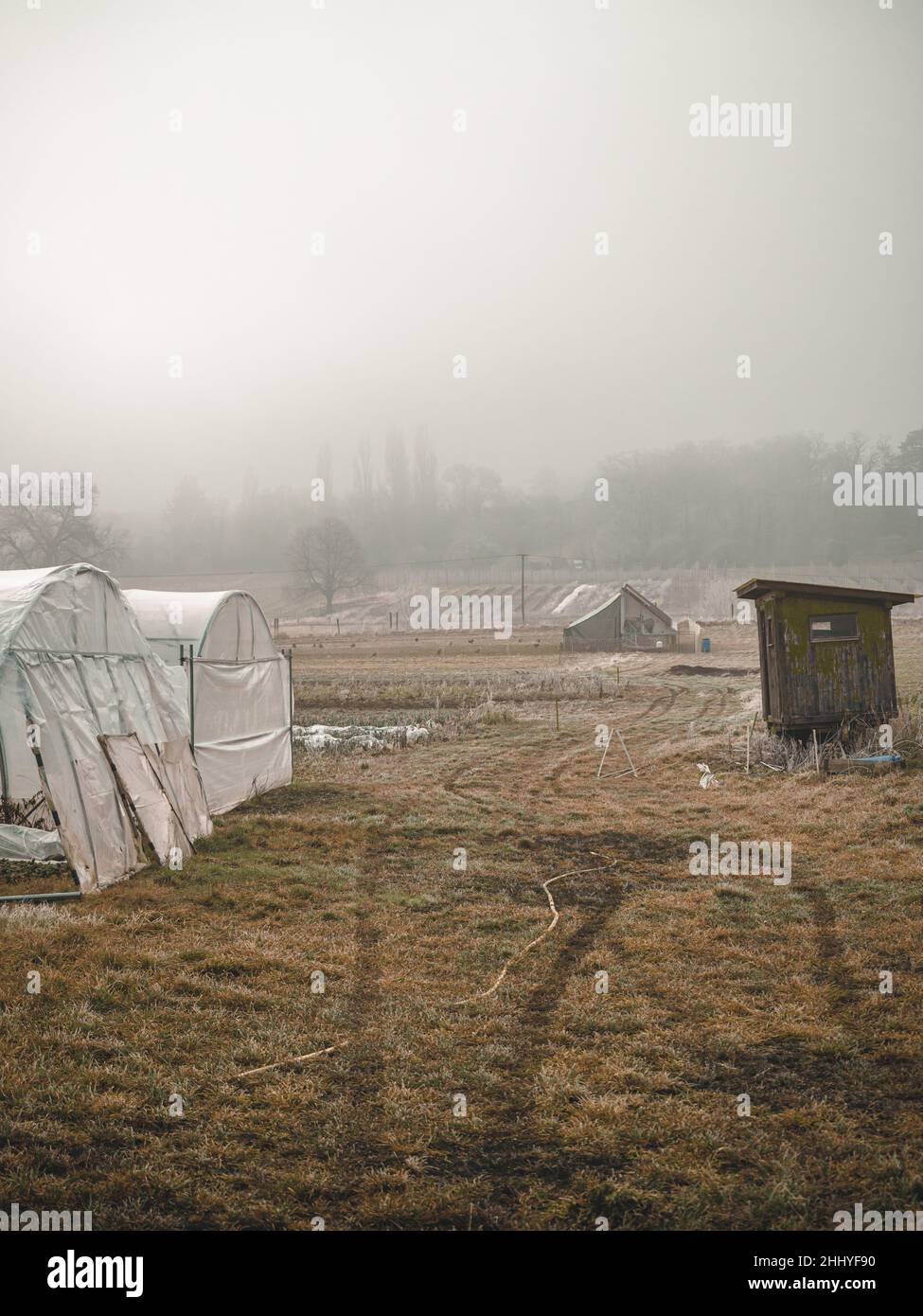 Frosted Farm and agricultural buildings in a field on a cold and frosty winter morning Stock
