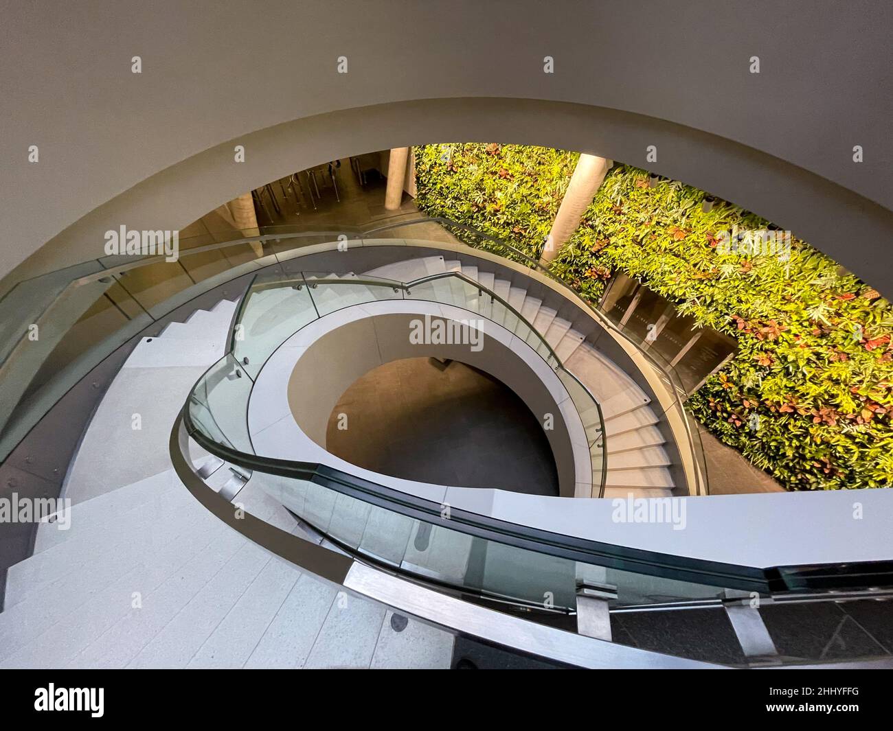 Living green wall with flowers and plants in Main Point Karlin building Stock Photo Alamy