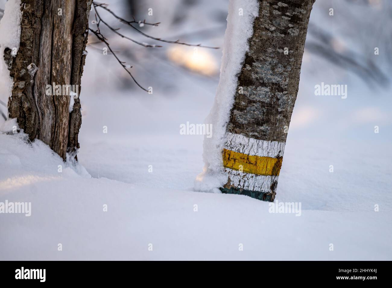 Hiking trail sign and deep snow in the mountains. The Bieszczady Mountains, Poland. Stock Photo