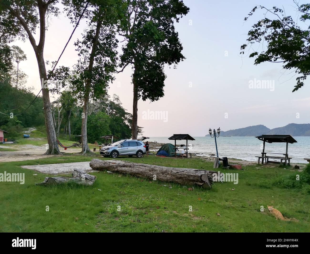 Camping and tent and SUV car under the pine tree near the seaside beach with sunset sky and small island at horizon. Endau, Malaysia Stock Photo